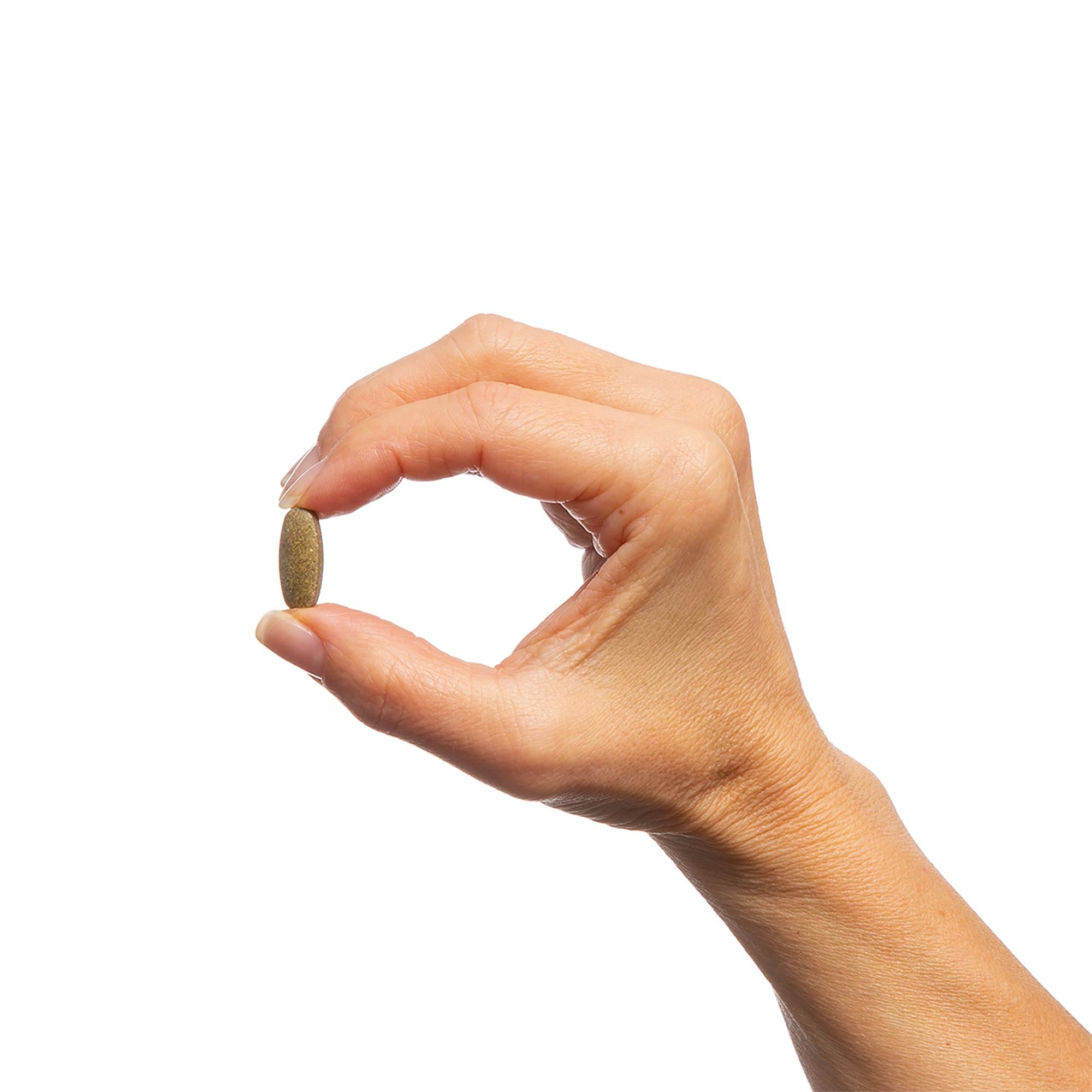 Echinacea Synergy™ 3