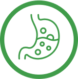 Green icon of a stomach representing GI Restoration.