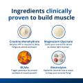 Muscle Gains Bundle 5