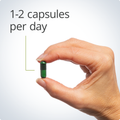 A woman's hand holding a single capsule - Metagenics™ UltraFlora® Acute Care (Serving Size: 1 Capsule)