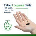 Image of a hand holding one green capsule of UltraFlora® Probiotic + Multivitamin. On-screen text recommends dosage of 1 capsule daily with food and water for best absorption, delivering 24-hour gut support.
