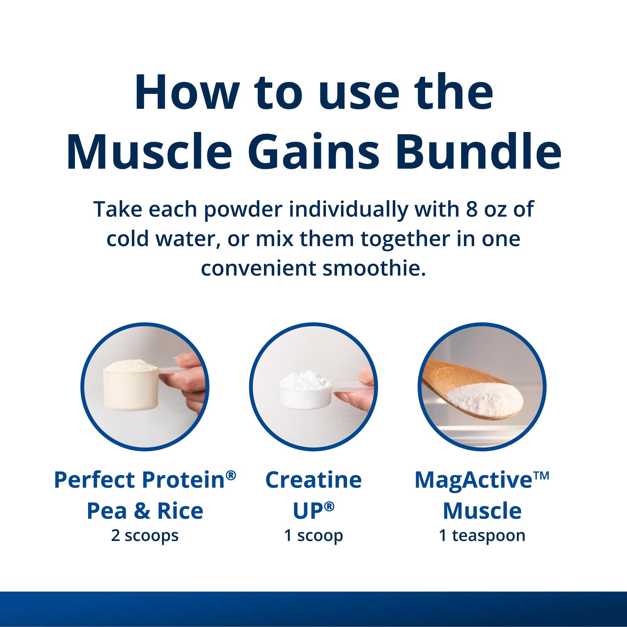 Muscle Gains Bundle 1