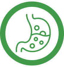 Green circular icon featuring a stylized stomach with microbes, highlighting that UltraFlora® advanced probiotics are designed to survive stomach acid and reach the intestines where they