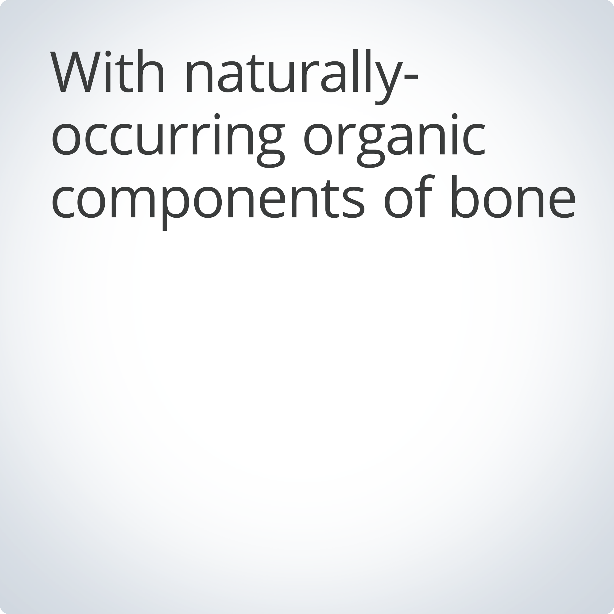 Bone Builder® Prime 4