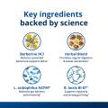 Gut Health Bundle 5