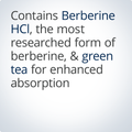 Details of Berberine HCI and Green Tea for absorption and cardiovascular health.