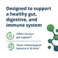 Value message for UltraFlora® Balance Probiotic emphasizing its quick and lasting support for digestive and immune health, with icons showing that it offers 24-hour gut support and starts releasing beneficial bacteria in 30 minutes.