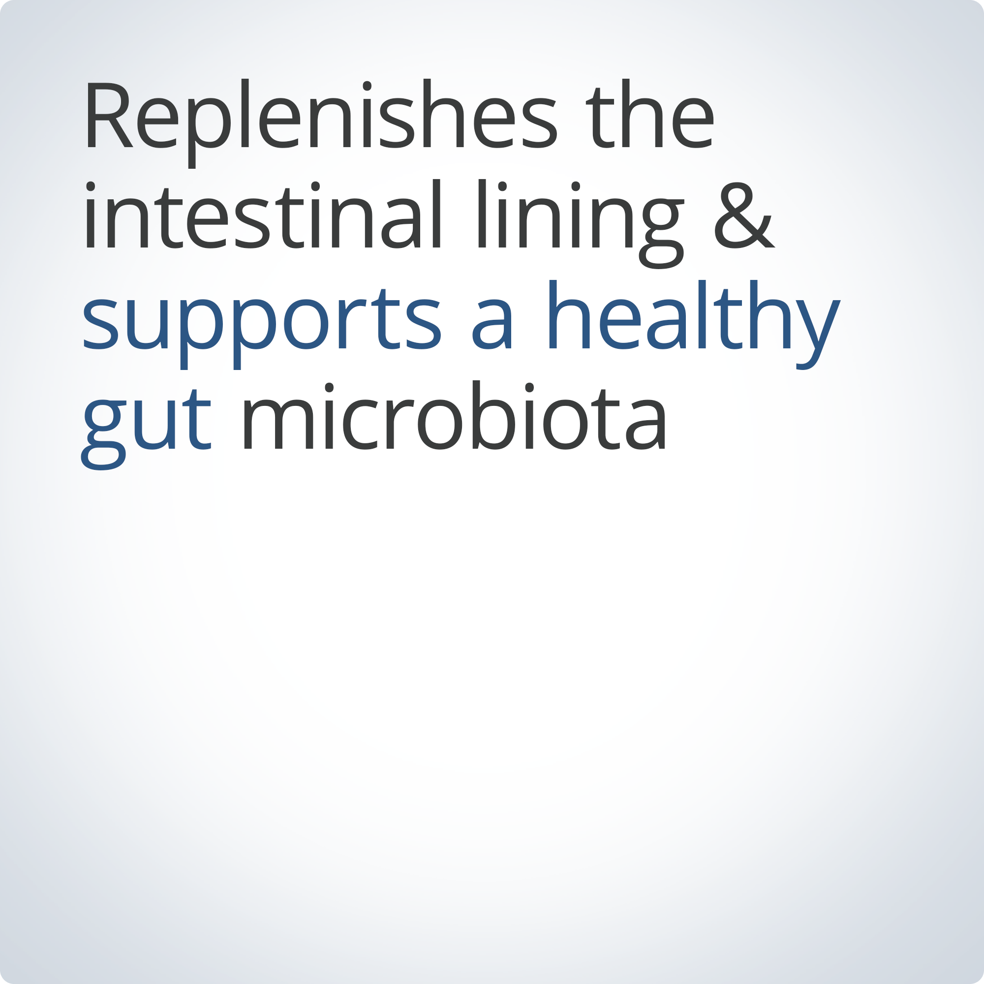 UltraGI Replenish® 4