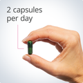 Hand holding a green EstroFactors® capsule, indicating a recommended dosage of two capsules per day for estrogen support.