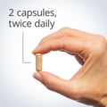 Woman’s hand holding Metagenics Adreset® capsule with the message 2 capsules twice per day indicating recommended dosage.