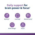 Icons showing Magtein® benefits for memory, learning, mental clarity, brain energy, and focus support