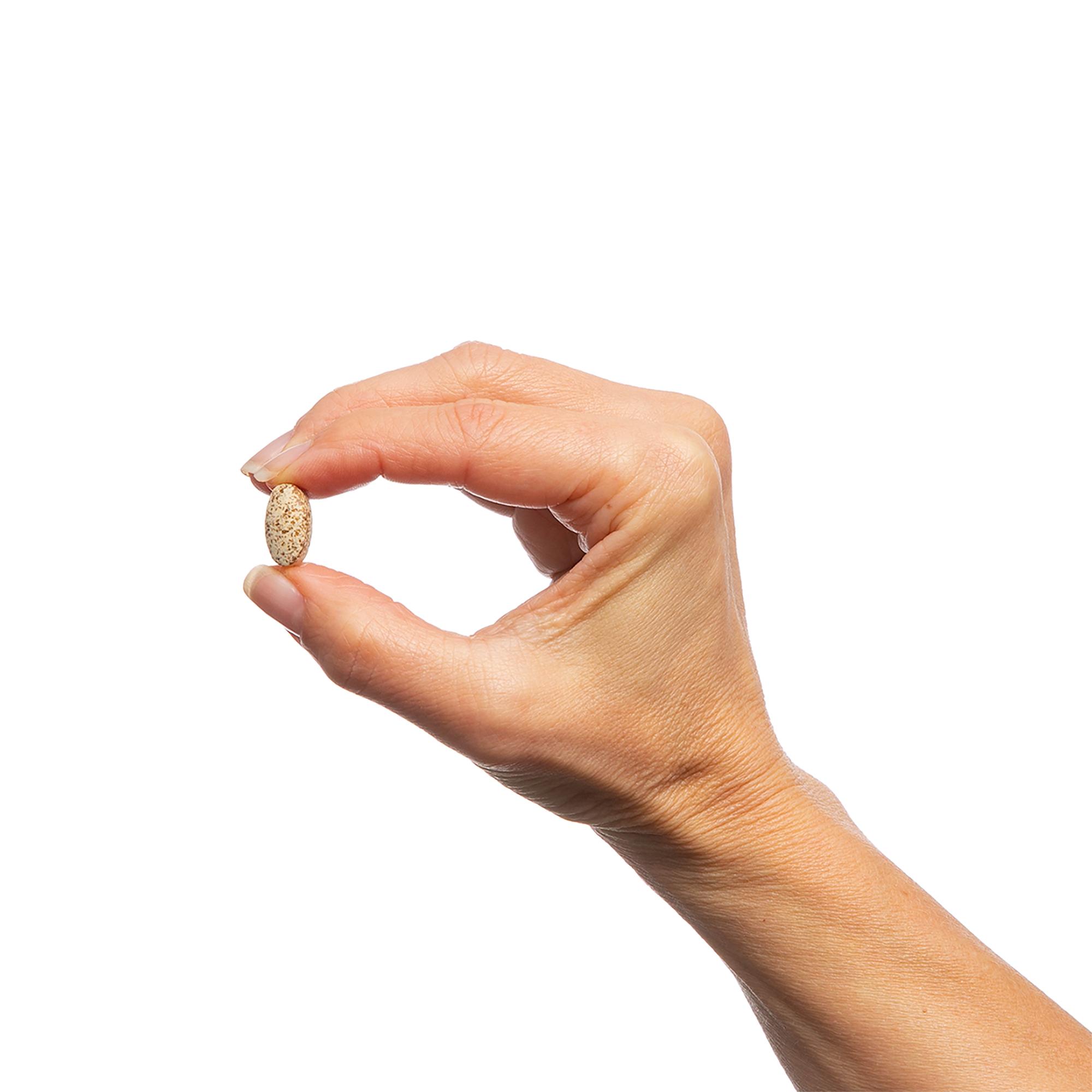 Essential Defense® 3