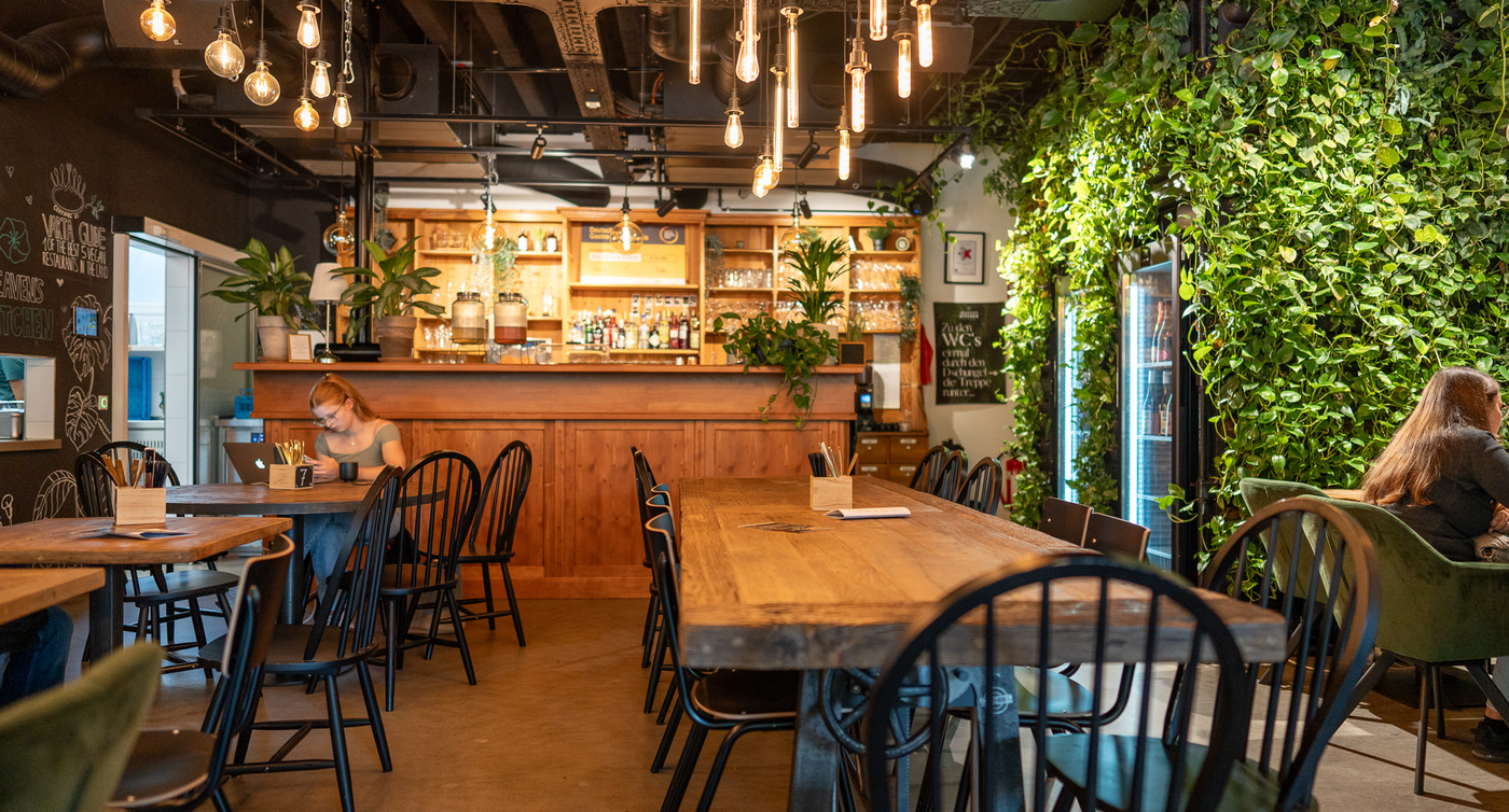 Eine moderne Bar mit einer Holztheke und einer Vielzahl von Flaschen und Gläsern darauf. Die Bar hat verschiedene Sitzmöglichkeiten, darunter Holzstühle und grüne Samtsofas. Die Wände sind mit Tafelkunst und Pflanzen geschmückt. Die Beleuchtung ist industriell und hängt von der Decke. Der Boden ist aus Beton.