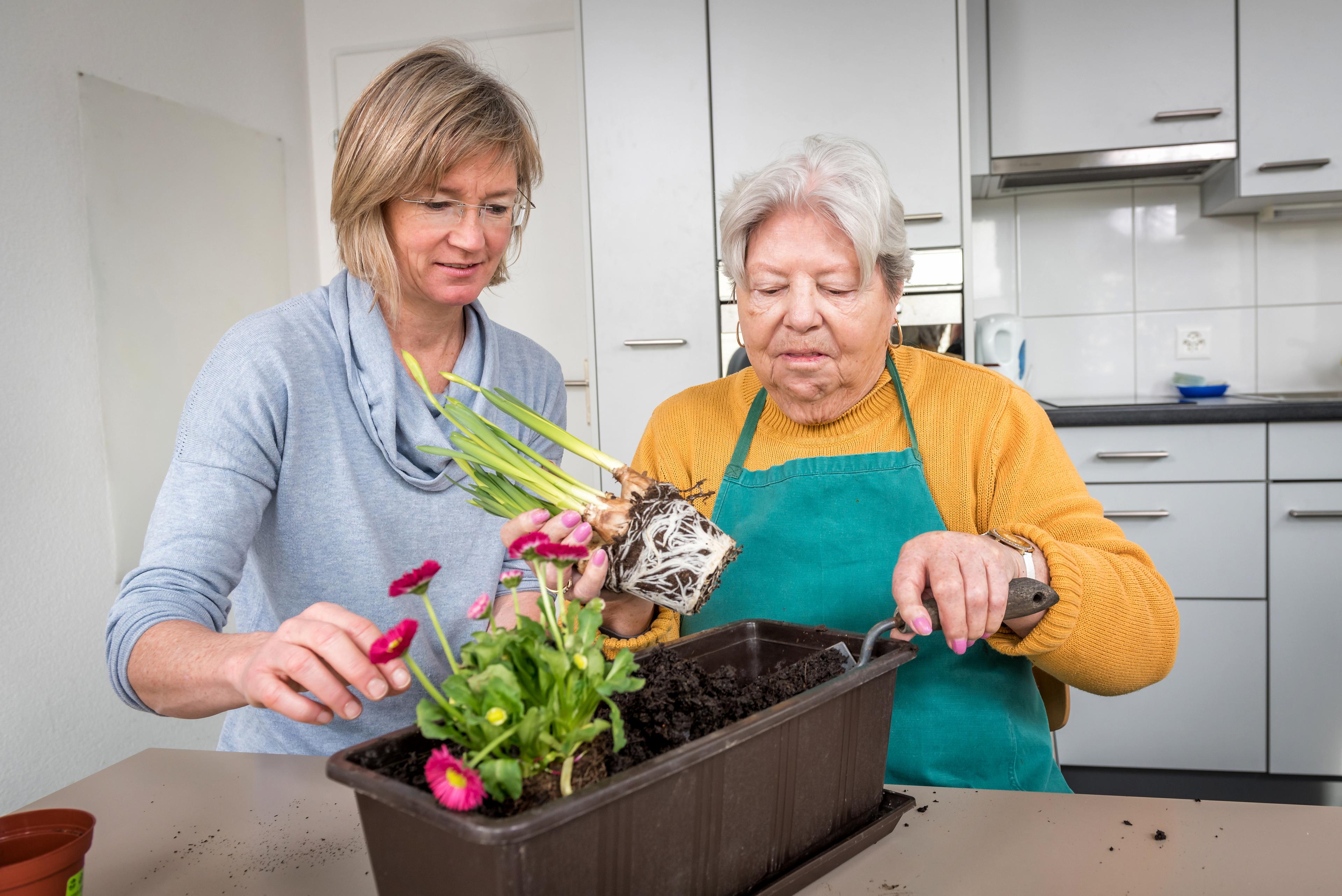 Une patiente met des fleurs en pot avec le soutien de son ergothérapeute.
