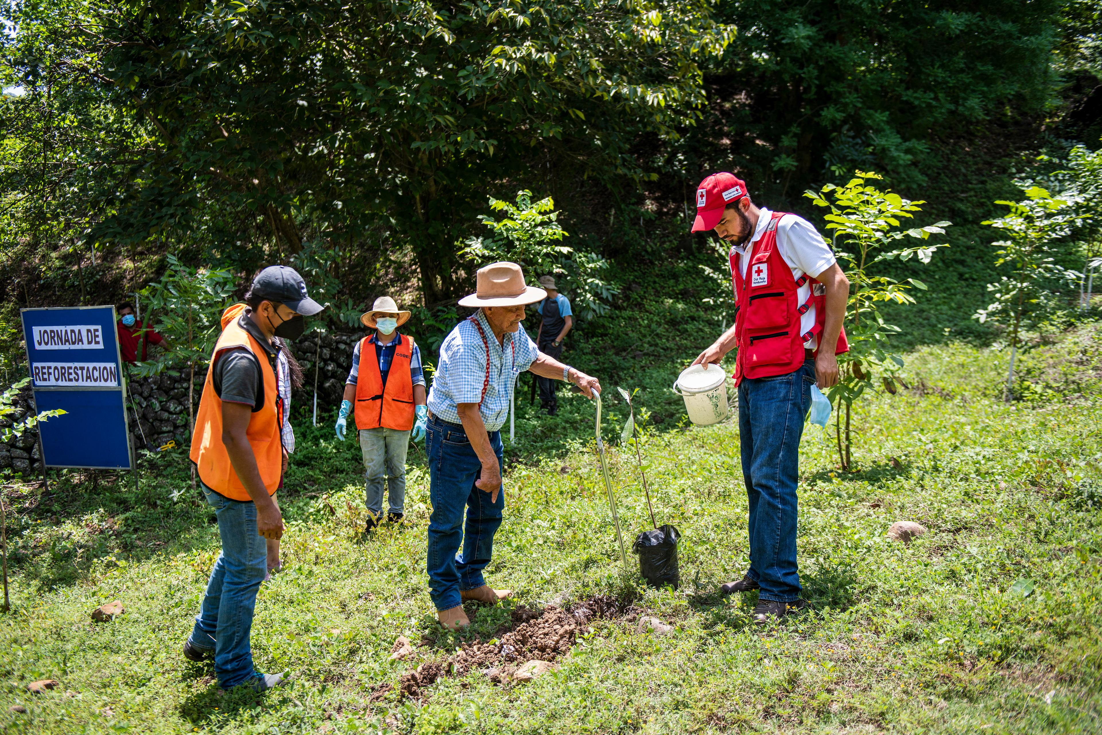 Several men plant tree seedlings on a hillside in Honduras.