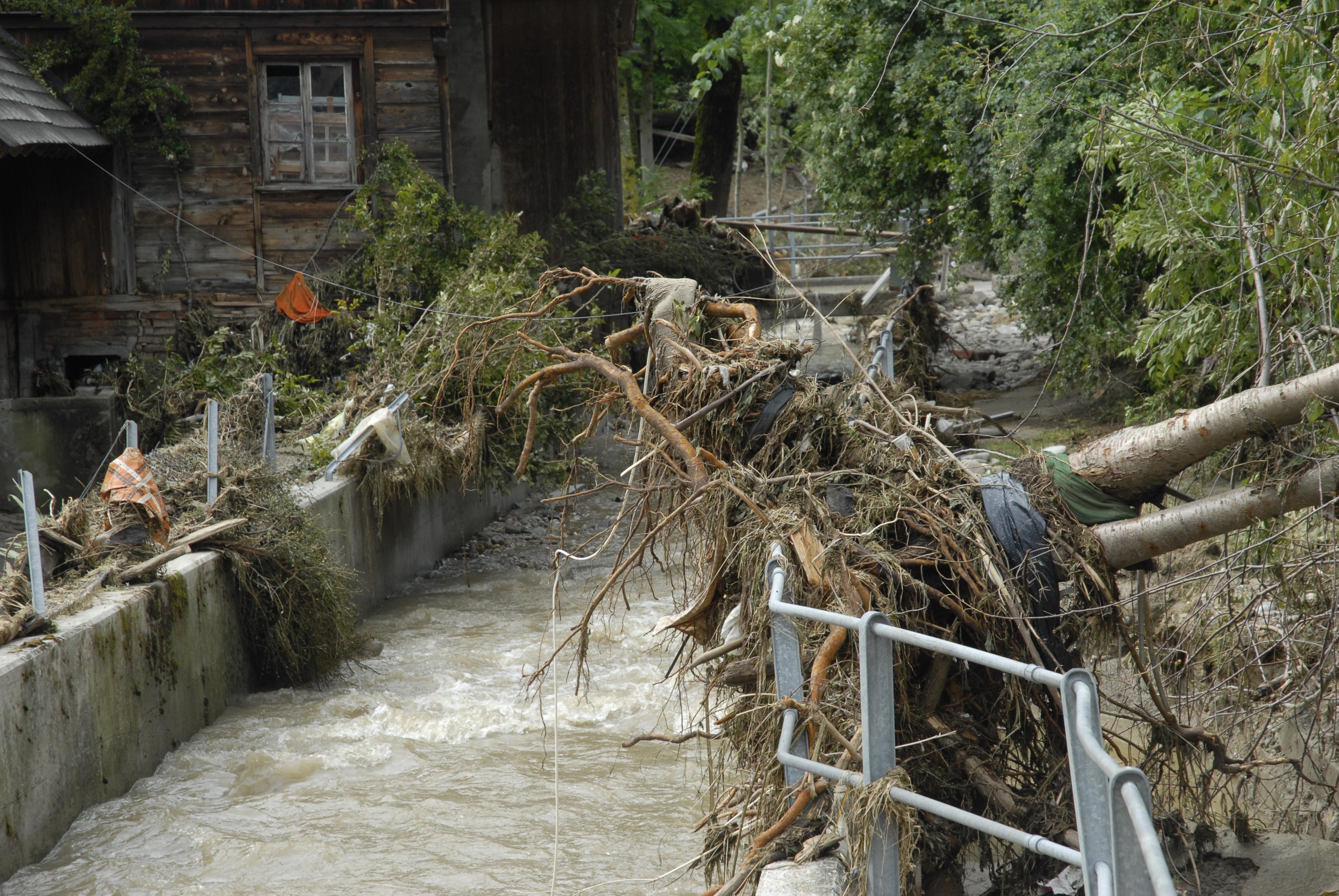 Schäden nach dem Unwetter in Huttwil und Umgebung. Entwurzelte Bäume und Pflanzen liegen quer über einem Bach.
