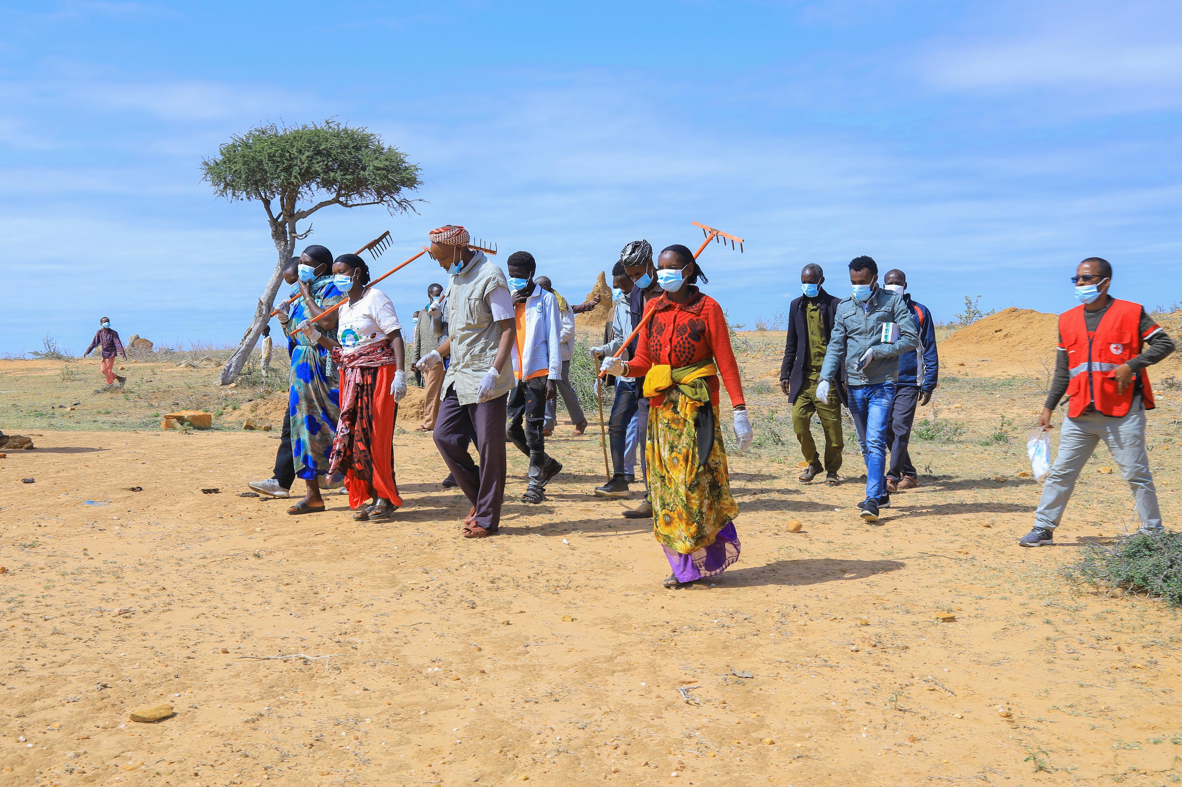 Des volontaires de la Croix-Rouge, dont Hacure, 37 ans, et Borte, 56 ans, en route pour se débarrasser du bétail mort dans la zone de Borena, Moyale (Éthiopie). Ils sont munis de râteaux et portent des masques.