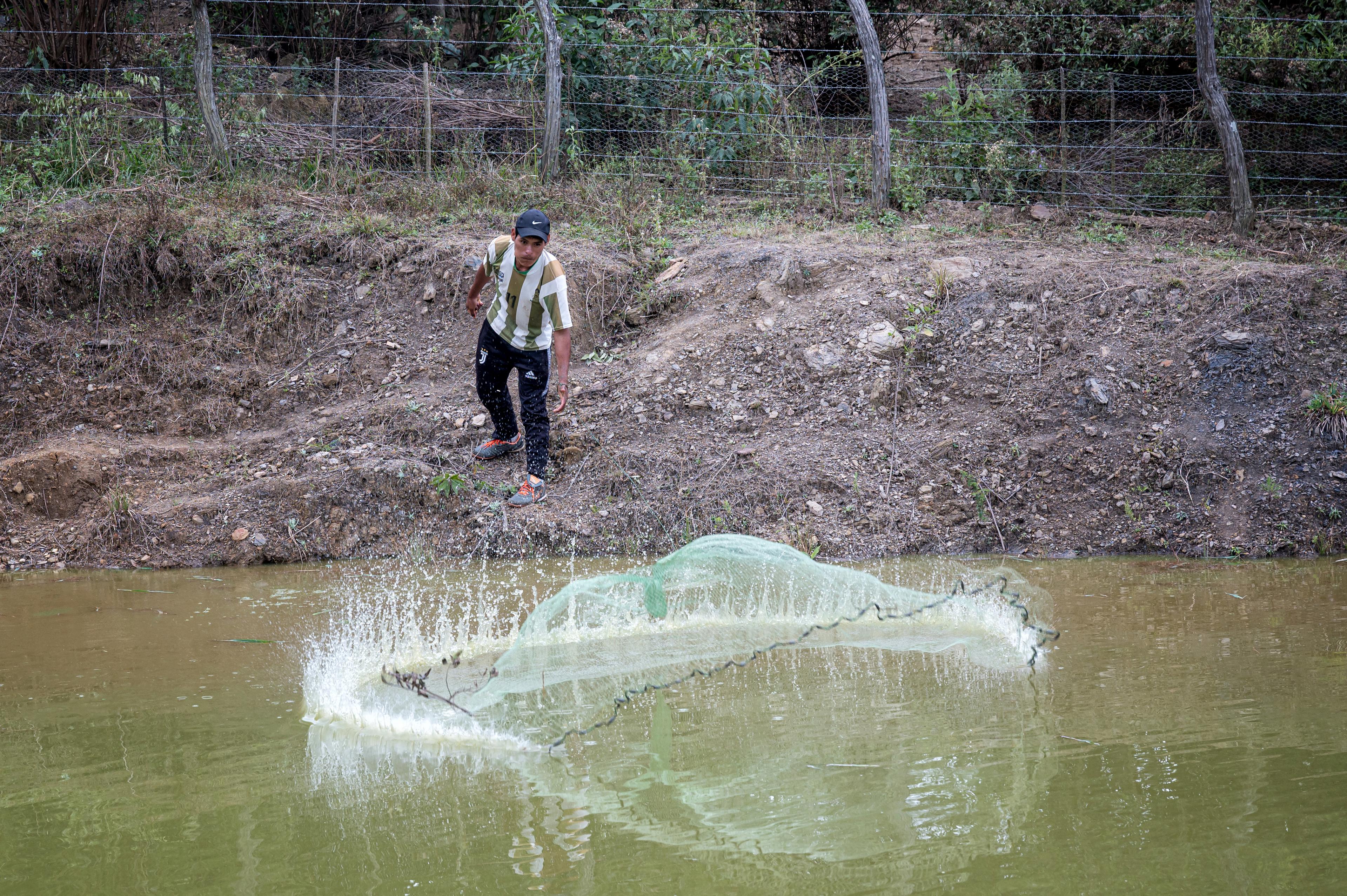 Un uomo lancia in un lago una rete da pesca, che cade assumendo una forma circolare.