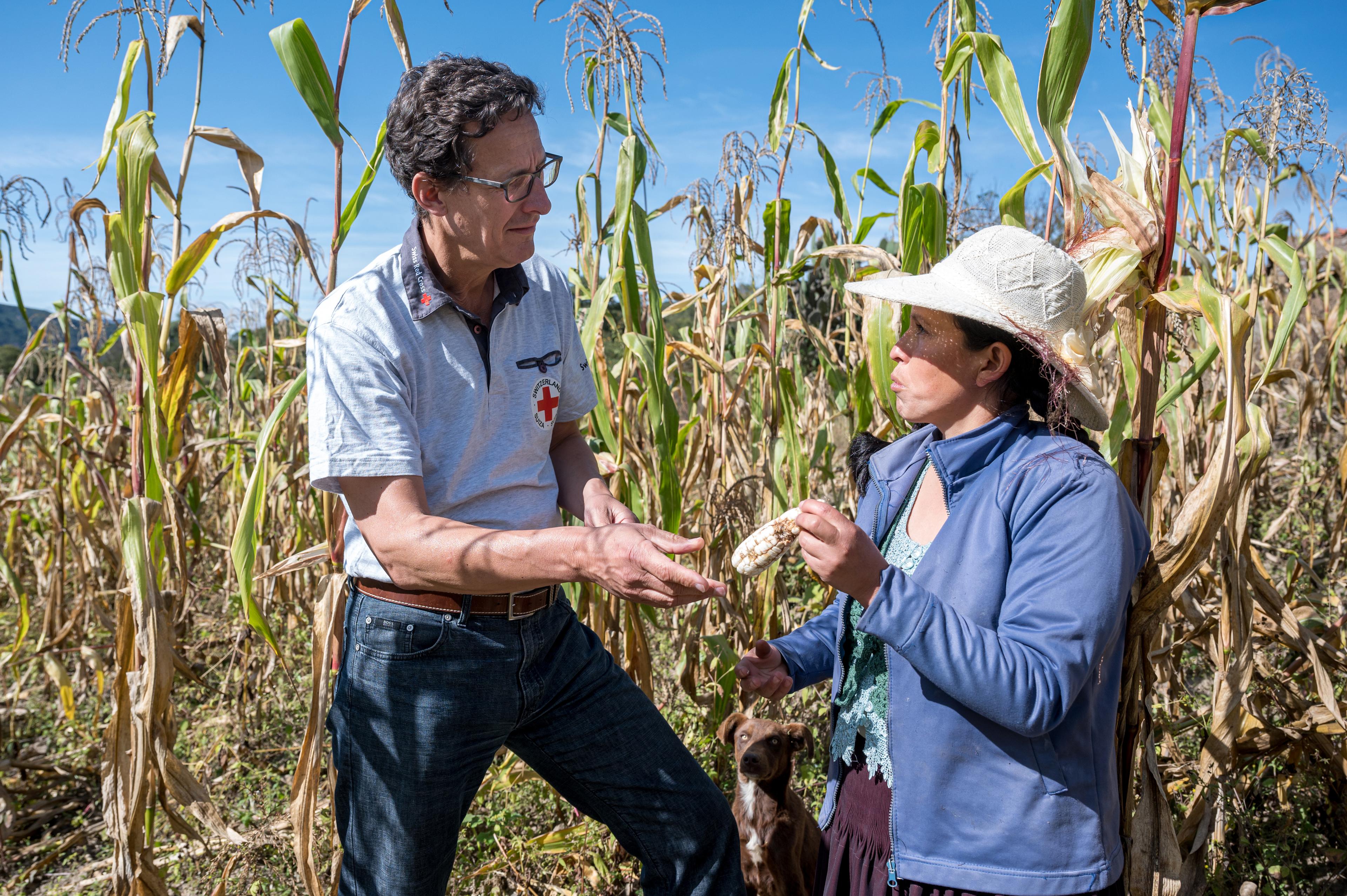 Trigo Loma, Tarvita, Bolivien. Die 31-jährige Carola Escobar Guerrero erklärt SRK-Direktor Markus Mader, dass der Mais unter den starken Regenfällen gelitten hat.