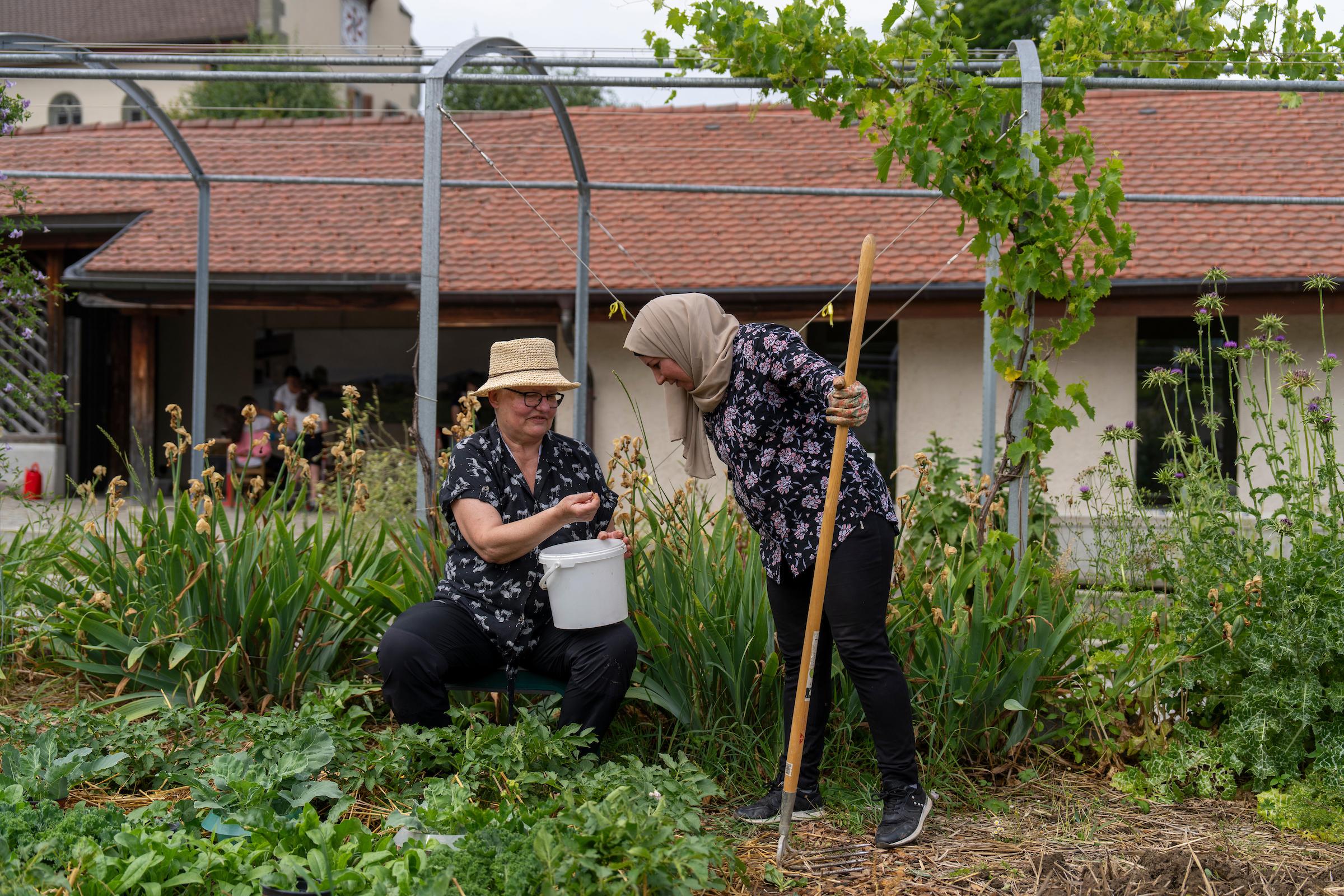 Une femme avec un chapeau et des lunettes montre à une autre femme, qui porte un foulard, le résultat de sa récolte de petits pois. Elles sont entourées de verdure, dans le jardin communautaire de la Croix-Rouge fribourgeoise à Bulle.
