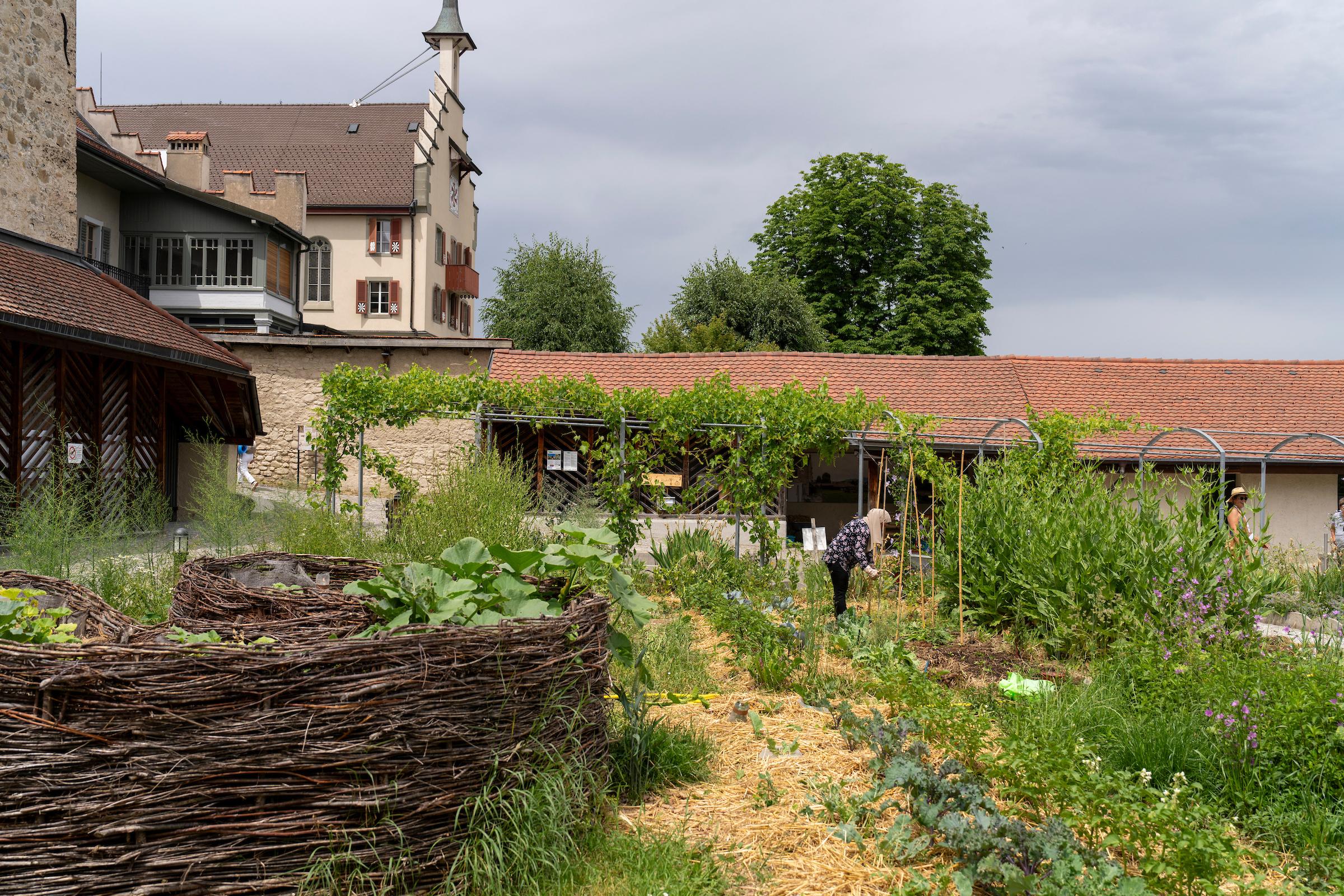 Le jardin