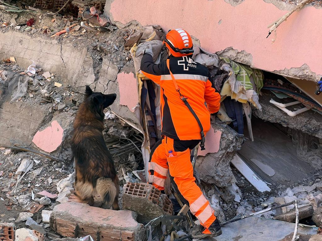 Eine Frau mit Schutzkleidung und Helm von REDOG gibt ihrem Schäferhund Anweisungen inmitten von einem Trümmerfeld.