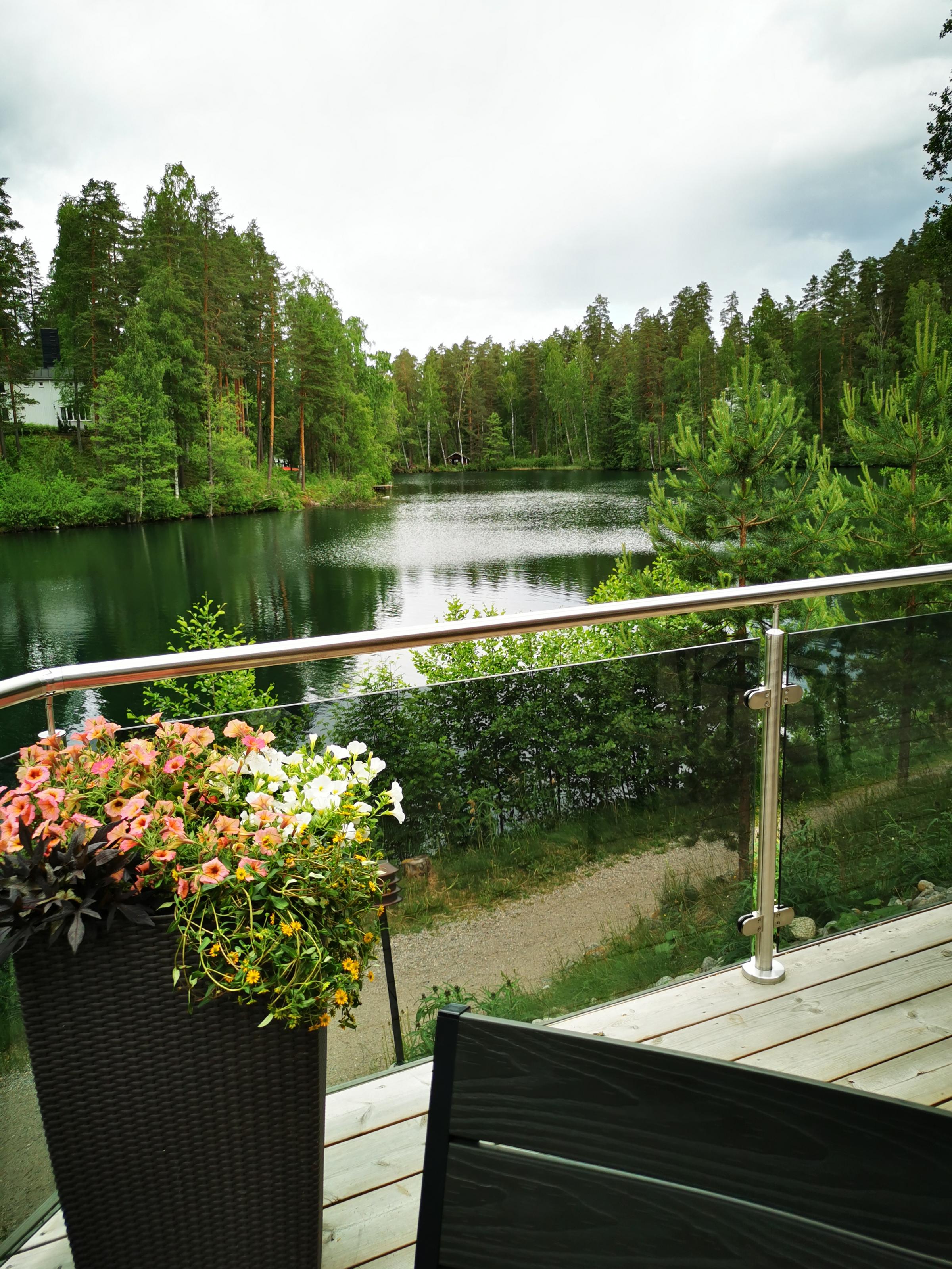 Palmu terassi_20240611_152834