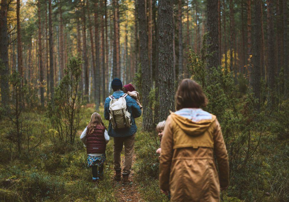 Syksy syysloma perhe metsä