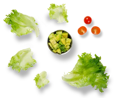 Frilagd_sallad_tomat_avokado