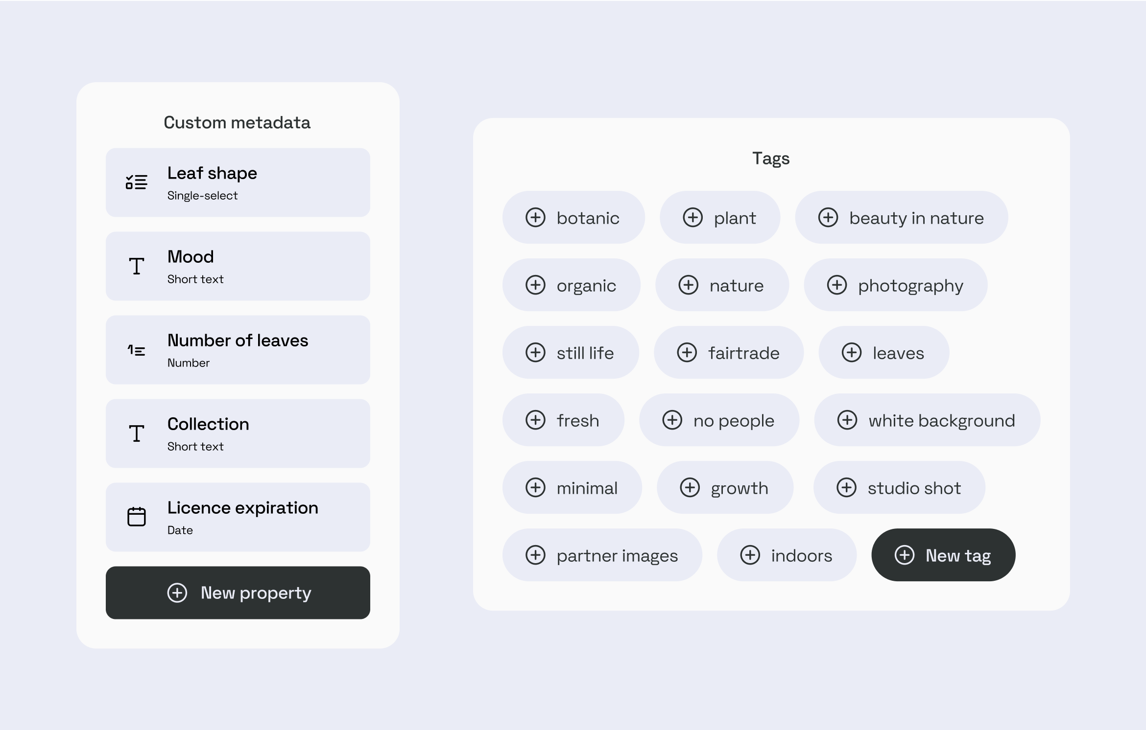 Maximize Your DAM: Guide To Metadata And Tag Setup | Frontify