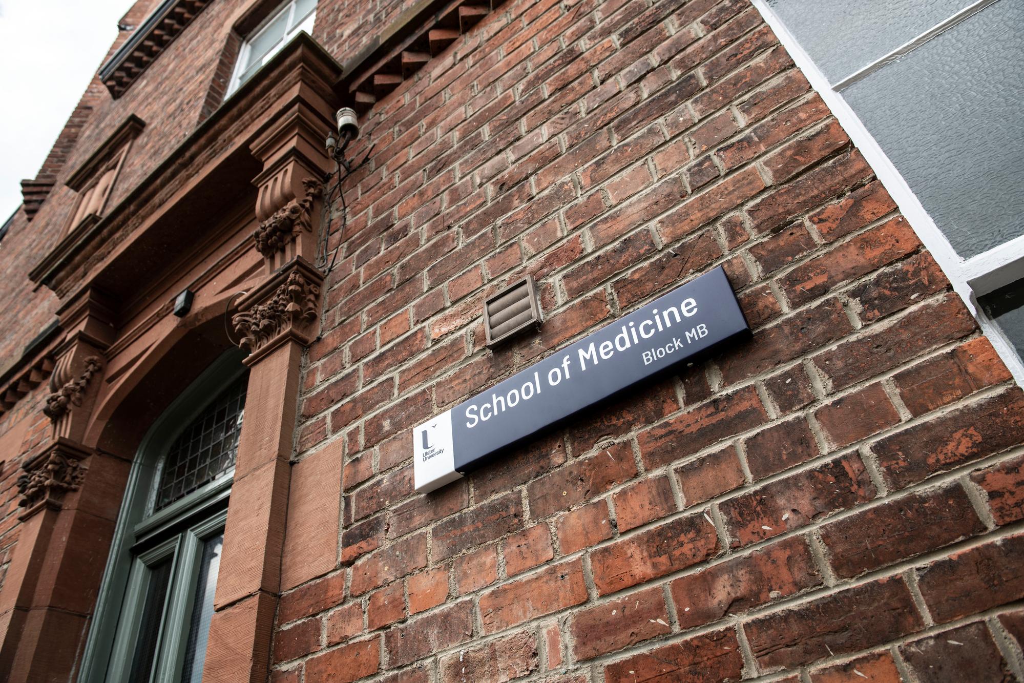 AI approaches to investigation of the role of folate nutrition in breast cancer prevention: epidemiological, clinical, and molecular studies