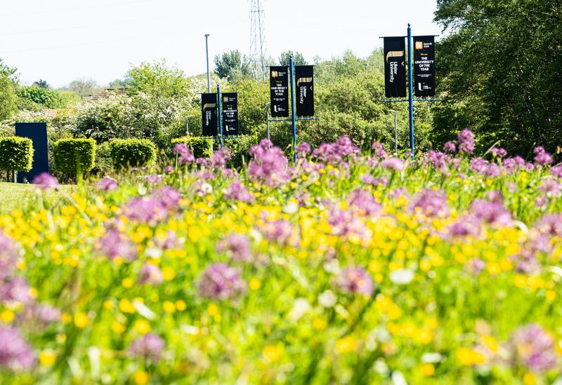 Ulster University image